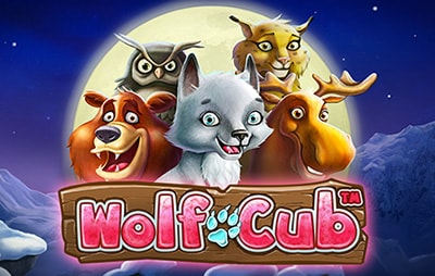 Wolf Cub